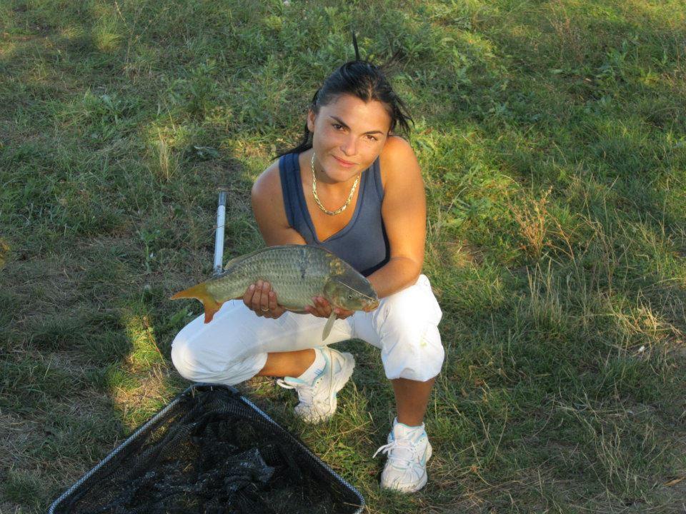 2012-2013 - 4858094294489313160437100095n1.jpg